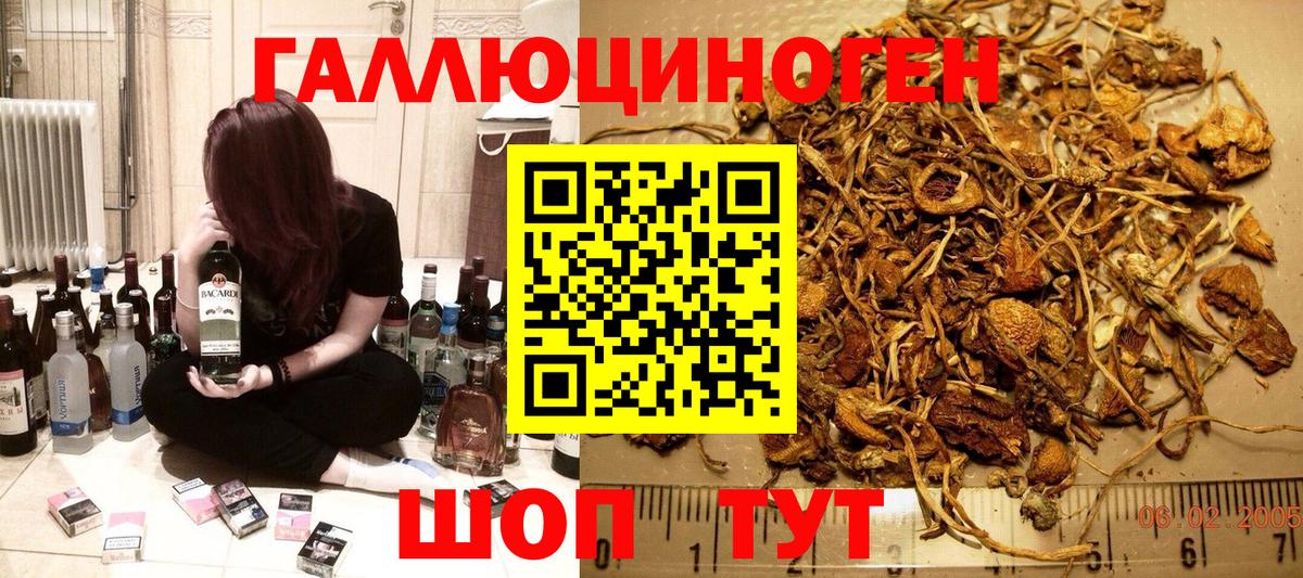 Псилоцибиновые грибы прущие грибы Киреевск